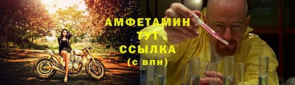 стаф Алзамай