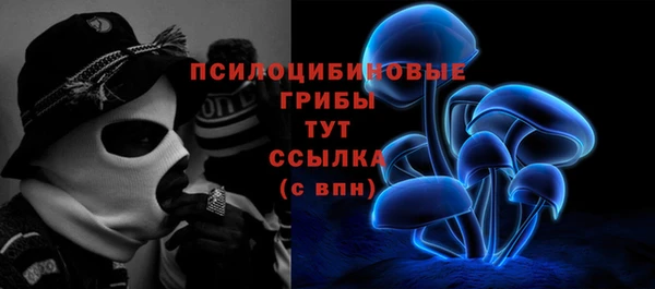 стаф Алзамай