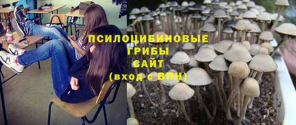 герыч Алексин
