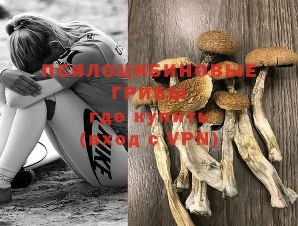 герыч Алексин