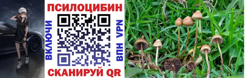 где продают наркотики  Ставрополь  Галлюциногенные грибы мухоморы 